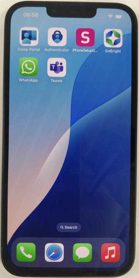 Device home screen